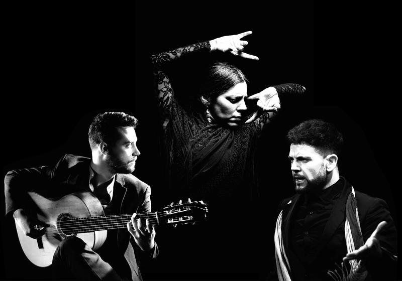 black and white image of the Daniel Martinez Flamenco company including the guitarist and lead singer, dancer and vocalist. 